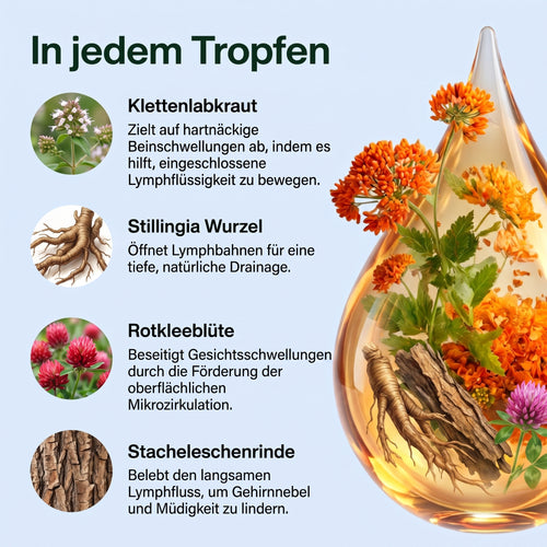 Moods Lymphdrainage-Tropfen